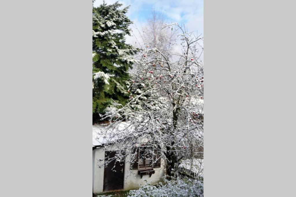 Landhaus Haid Presseck Exteriör bild